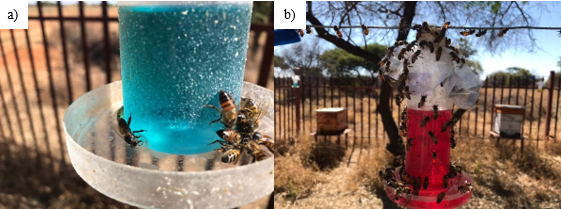 Honey bees showing preference for blue treatment and Honey bees loving red treatment.PNG